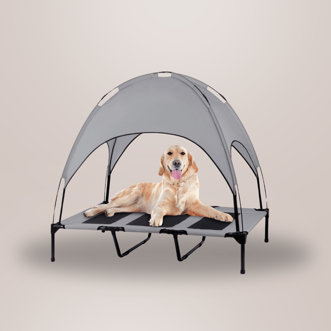 Canopy Portable Hundeleir